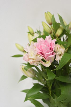 Lilium Oriental Doble Rosa